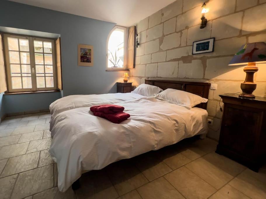 Maison Traditionnelle Centre Montsoreau Bagian luar foto